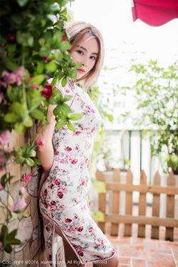 青年gary东北打桩机